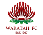 Orange Waratahs FC